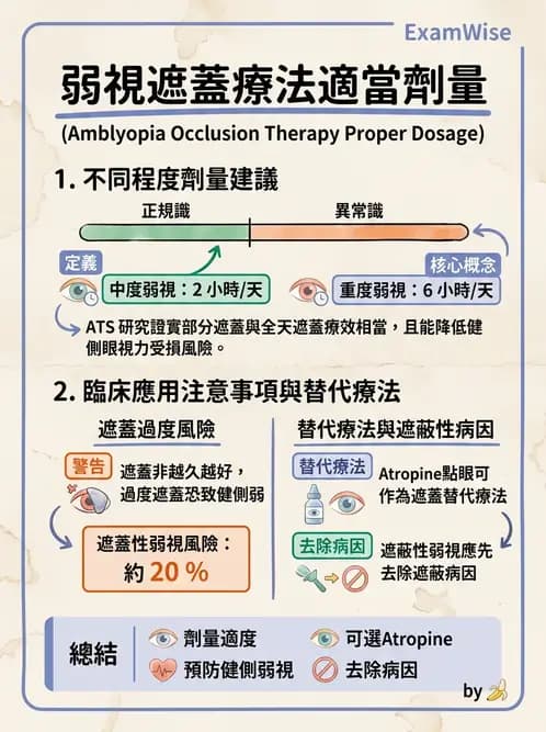 驗光師 - 弱視 - AI 圖文解析預覽