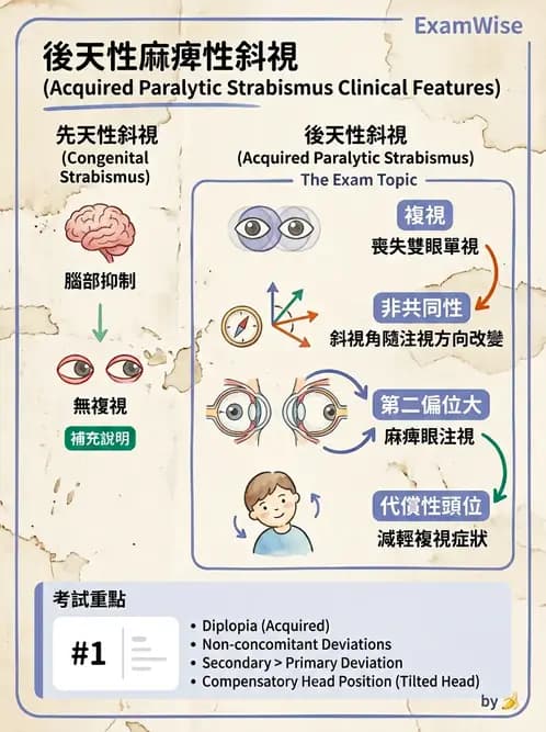 驗光師 - 斜視 - AI 圖文解析預覽