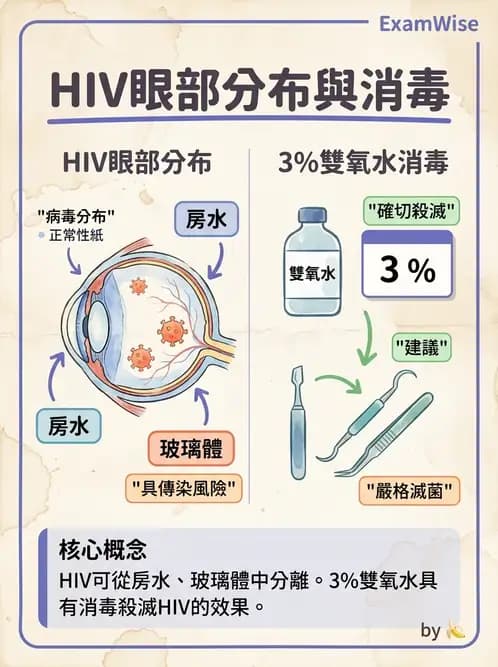 驗光師 - 隱形眼鏡護理 - AI 圖文解析預覽