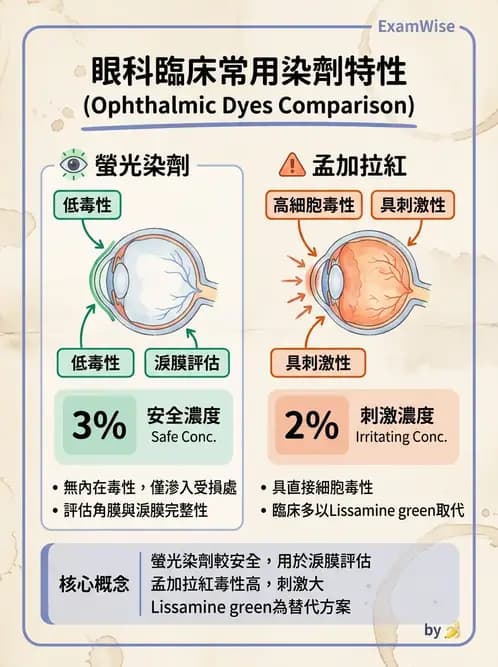 驗光師 - 角膜染色與輪部血管化 - AI 圖文解析預覽