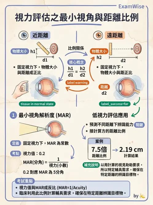 驗光師 - 視力表與視力量測 - AI 圖文解析預覽