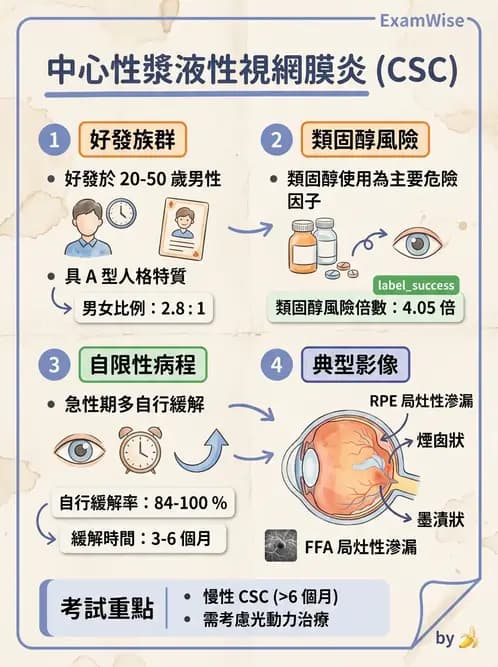 驗光師 - 視網膜疾病 - AI 圖文解析預覽