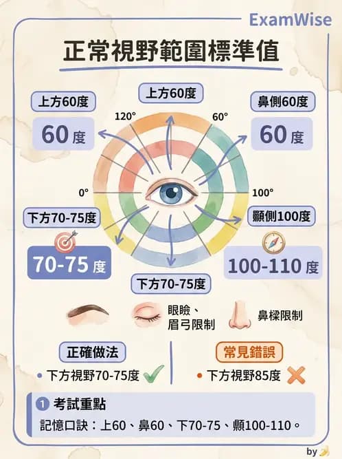驗光師 - 視野評估與特殊族群檢查 - AI 圖文解析預覽