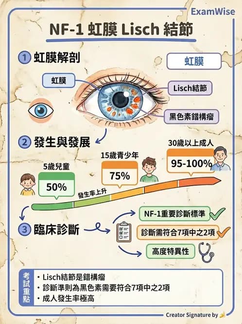 驗光師 - 血管阻塞、甲狀腺眼疾與其他全身性眼病變 - AI 圖文解析預覽