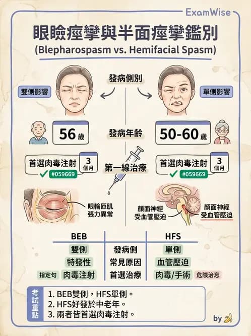 驗光師 - 斜弱視與神經眼科 - AI 圖文解析預覽
