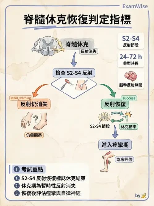 護理師 - 脊髓損傷與神經肌肉疾病 - AI 圖文解析預覽