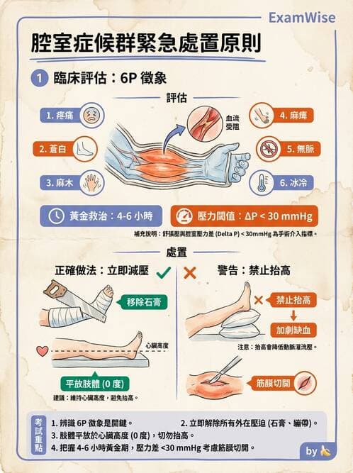 護理師 - 骨折與牽引護理 - AI 圖文解析預覽