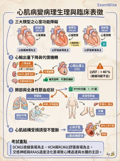 護理師 - 心臟衰竭與心律不整 - AI 圖文解析預覽