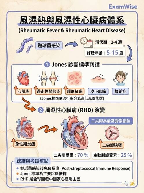 護理師 - 心臟瓣膜病與發炎性心臟病 - AI 圖文解析預覽
