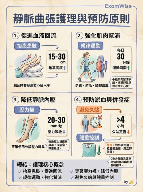 護理師 - 高血壓與周邊血管疾病 - AI 圖文解析預覽