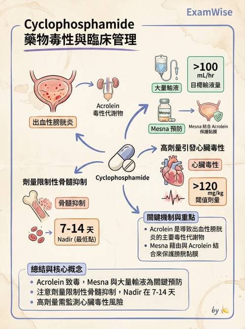 護理師 - 化療護理 - AI 圖文解析預覽