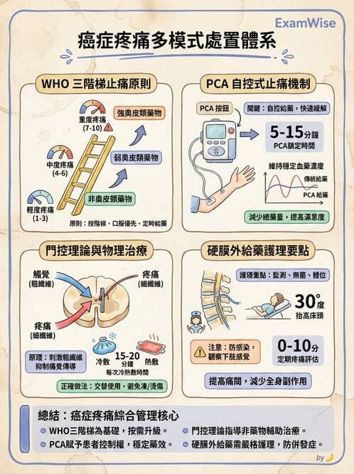 護理師 - 放療、疼痛管理與安寧護理 - AI 圖文解析預覽