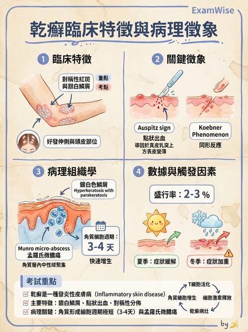 護理師 - 皮膚疾病與傷口護理 - AI 圖文解析預覽