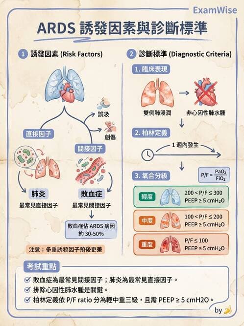 護理師 - 呼吸衰竭與胸腔護理 - AI 圖文解析預覽