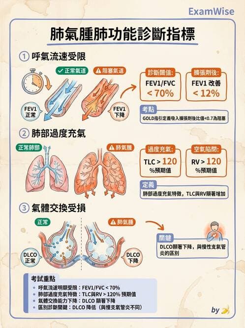 護理師 - COPD與氣喘 - AI 圖文解析預覽