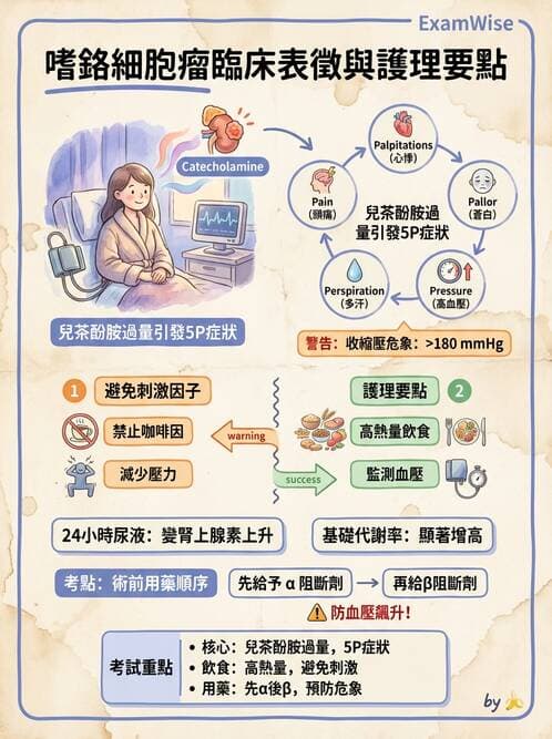 護理師 - 腎上腺與腦下垂體疾病 - AI 圖文解析預覽