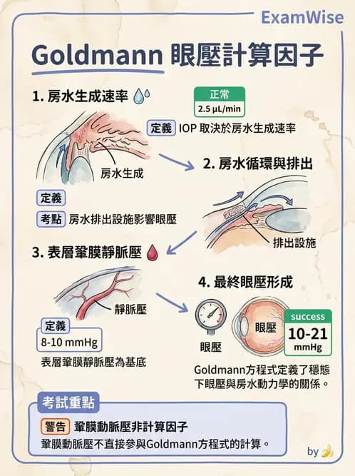 驗光師 - 眼球中層與前房 - AI 圖文解析預覽