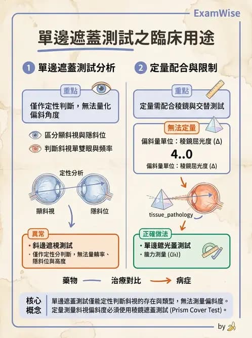 驗光師 - 眼外肌運動與眼位初步檢查 - AI 圖文解析預覽