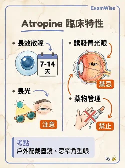 驗光師 - 視網膜檢影法 - AI 圖文解析預覽