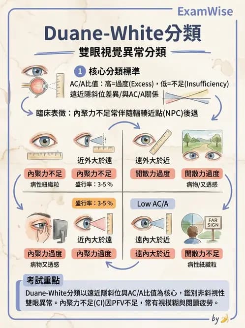 驗光師 - 水平聚散功能異常 - AI 圖文解析預覽