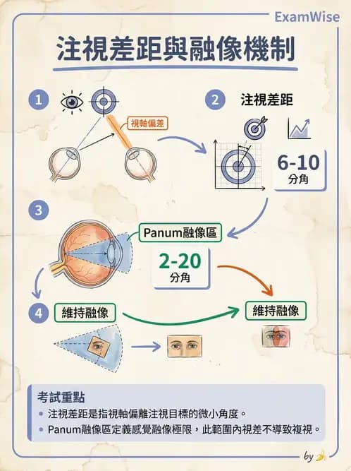驗光師 - 固視偏差與雙眼視覺評估 - AI 圖文解析預覽