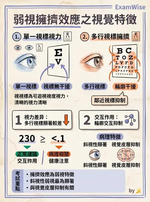 驗光師 - 弱視 - AI 圖文解析預覽