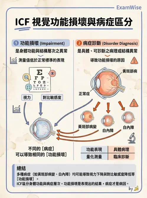 驗光師 - 視障的分類及流行分布 - AI 圖文解析預覽