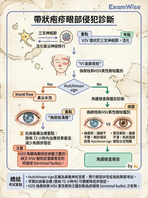 驗光師 - 感染性角結膜炎 - AI 圖文解析預覽