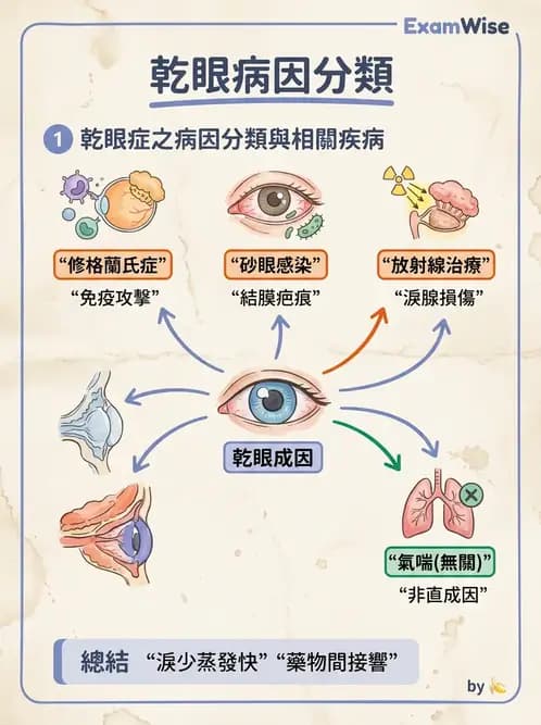 驗光師 - 角膜退化疾病與眼表問題 - AI 圖文解析預覽