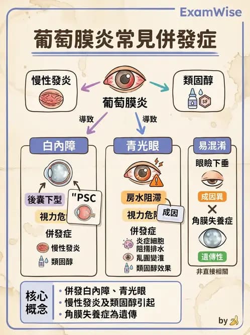 驗光師 - 葡萄膜炎與免疫相關眼病變 - AI 圖文解析預覽
