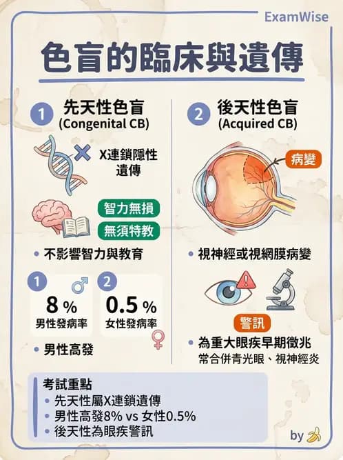 驗光師 - 功能性評估、對比敏感度與色覺 - AI 圖文解析預覽