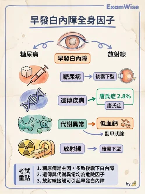 驗光師 - 水晶體疾病 - AI 圖文解析預覽