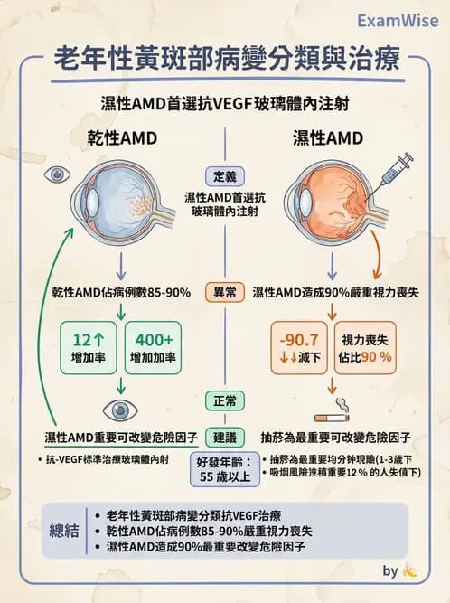 驗光師 - 老年性黃斑部及眼部退化疾病 - AI 圖文解析預覽