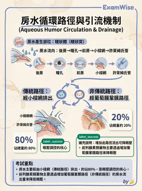 驗光師 - 眼球中層與前房 - AI 圖文解析預覽