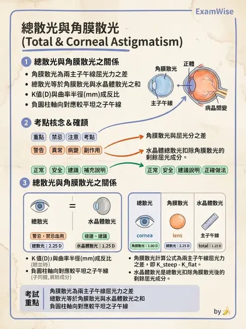 驗光師 - 散光、不等視與不等像 - AI 圖文解析預覽