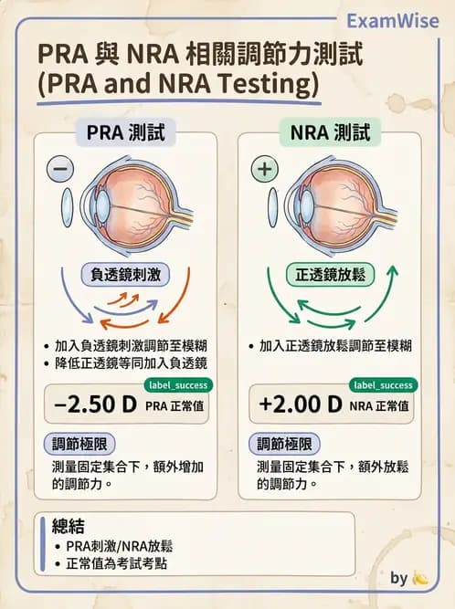 驗光師 - 老花眼主觀驗光與相對調節力 - AI 圖文解析預覽