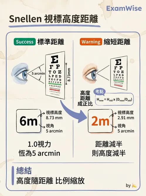 驗光師 - 視力表與視力量測 - AI 圖文解析預覽