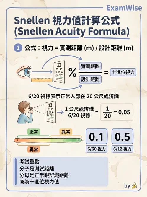驗光師 - 視力表與視力量測 - AI 圖文解析預覽