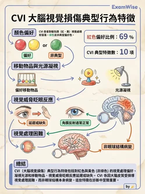 驗光師 - 視野評估與特殊族群檢查 - AI 圖文解析預覽