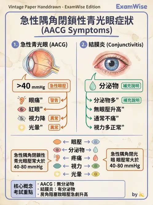 驗光師 - 青光眼分類、病因與危險因子 - AI 圖文解析預覽