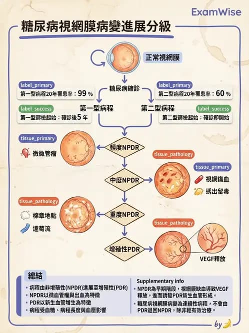 驗光師 - 糖尿病眼部病變 - AI 圖文解析預覽