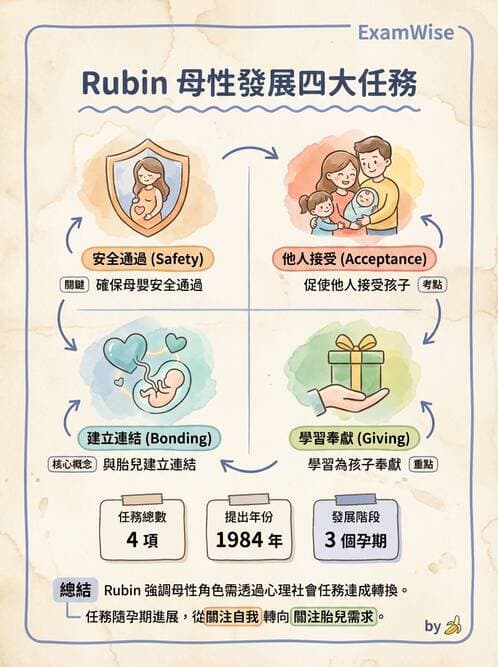 護理師 - 孕期營養心理與衛生政策 - AI 圖文解析預覽
