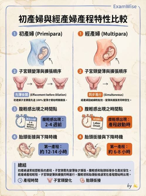 護理師 - 產程機轉與待產護理 - AI 圖文解析預覽
