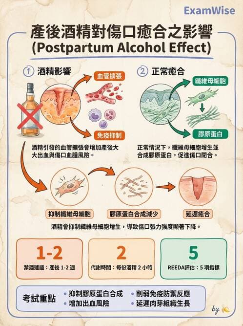 護理師 - 產後心理併發症與家庭計畫 - AI 圖文解析預覽
