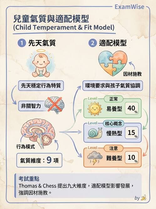 護理師 - 兒童心理社會發展與遊戲 - AI 圖文解析預覽