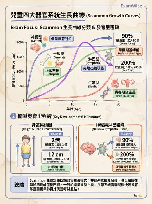 護理師 - 兒童生長發展與評估 - AI 圖文解析預覽