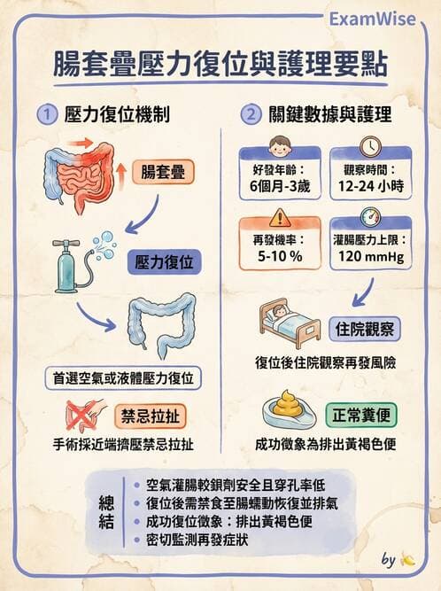 護理師 - 兒童消化系統疾病 - AI 圖文解析預覽