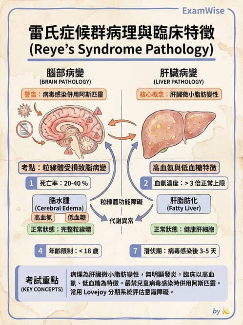 護理師 - 兒童傳染性疾病 - AI 圖文解析預覽