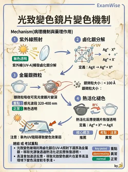 驗光師 - 鏡片鍍膜、偏光與染色 - AI 圖文解析預覽