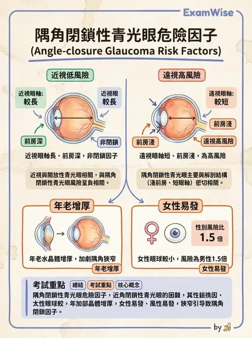驗光生 - 青光眼與水晶體疾病 - AI 圖文解析預覽